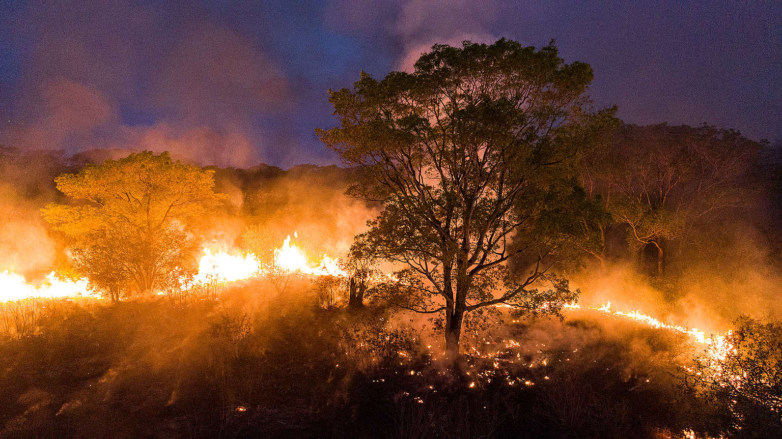 Emergência climática: queimadas na Amazônia e Pantanal em discussão no STF